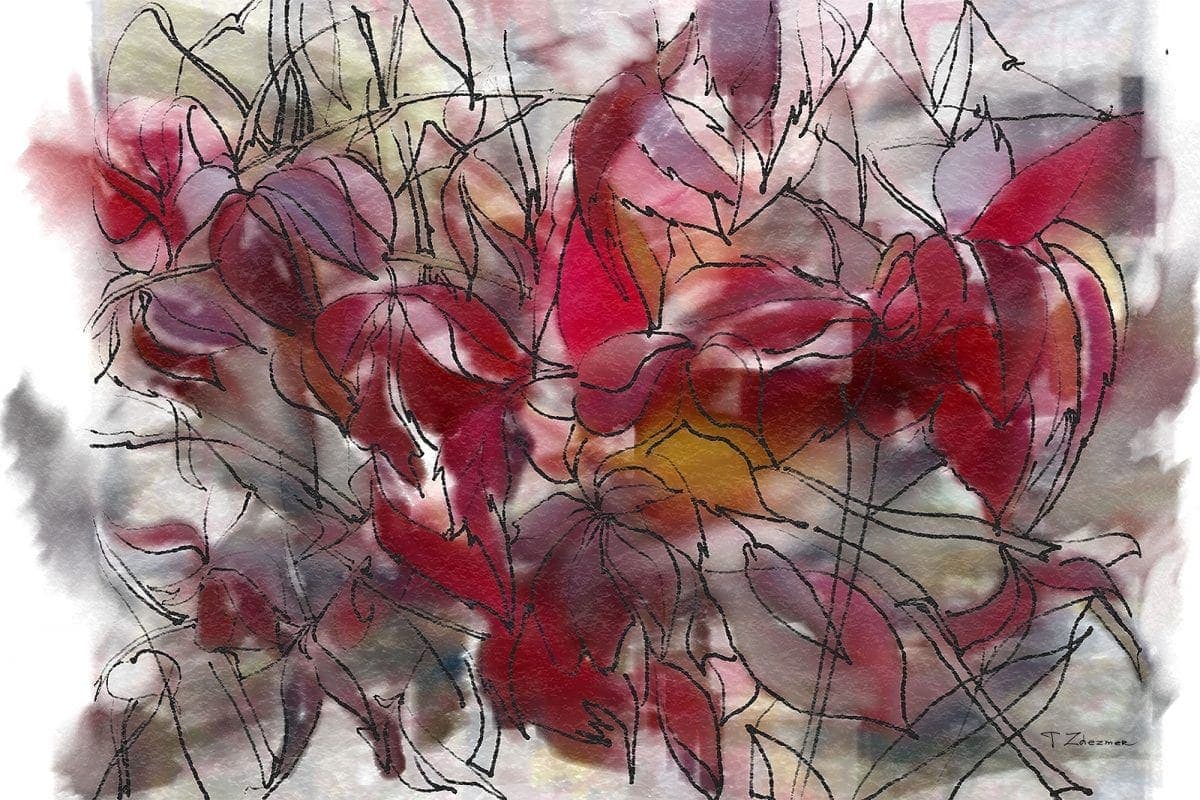 Grapes- Tatiana Zhezmer