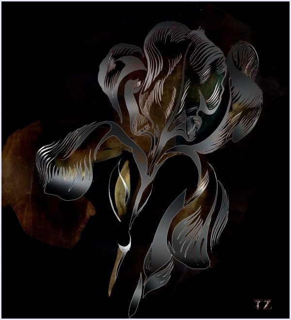 Iris 2