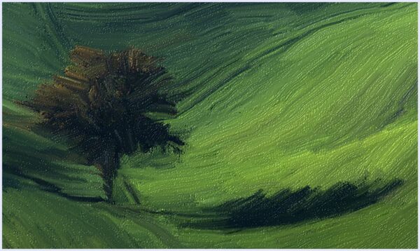 Tuscany green - immagine 2