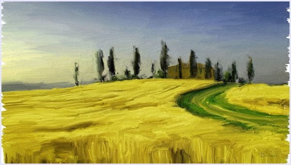 Tuscany wheat field