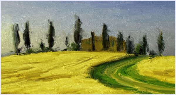 Tuscany wheat field - immagine 2
