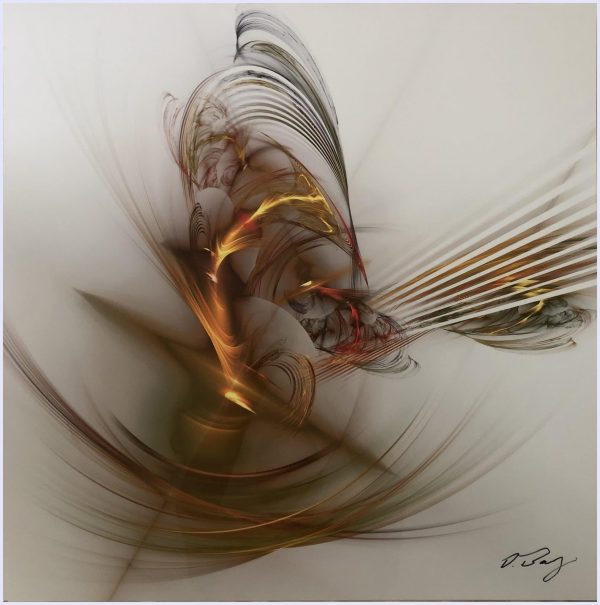 bird of paradise An