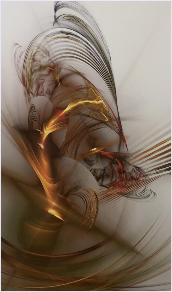 Bird of Paradise - Image 2