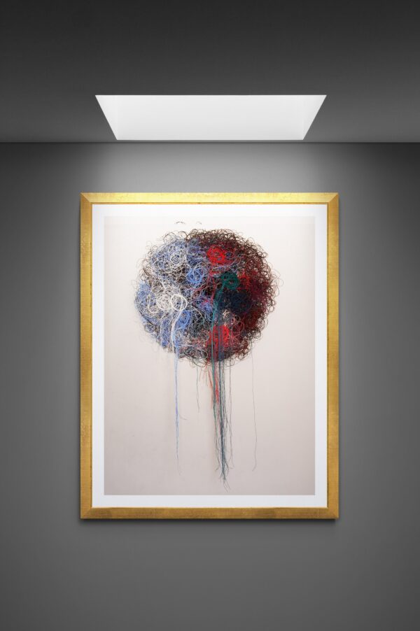 Endangered species 2 - immagine 3