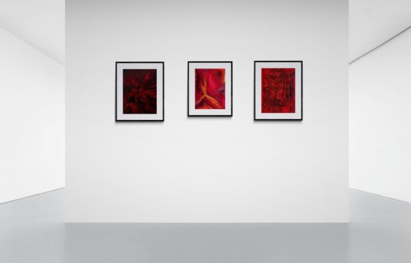 Passion - immagine 2