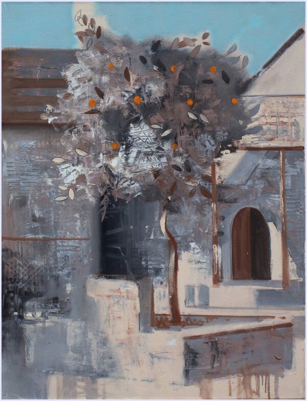The life of the Orange tree - immagine 2