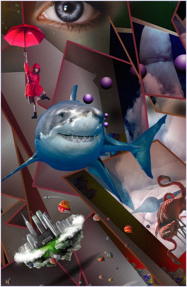 Collage 1 - immagine 3