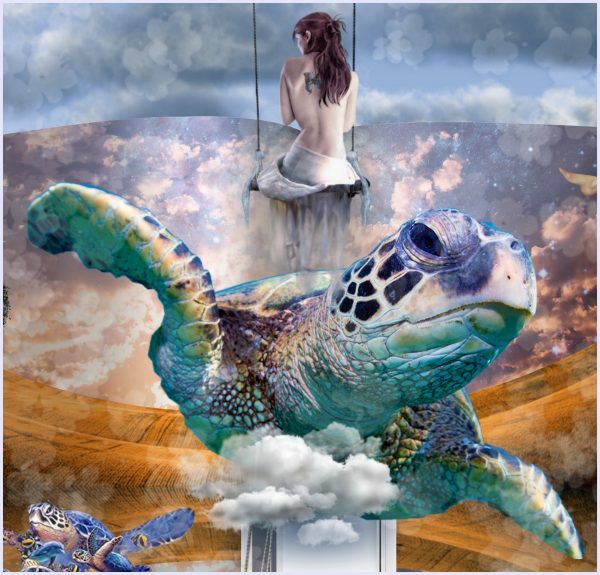 Turtles - immagine 3