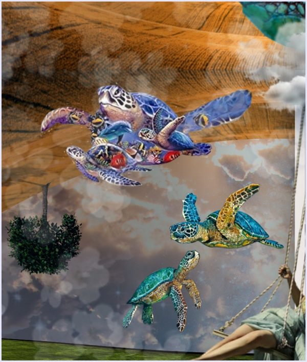 Turtles - immagine 2