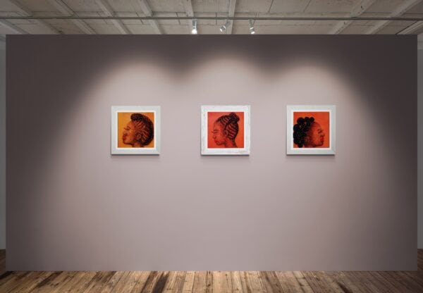 Echoes and Identity - Image 2