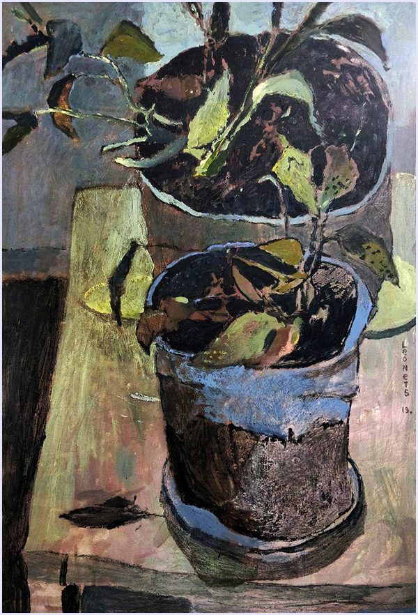 Plants