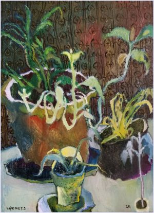 stillife plants