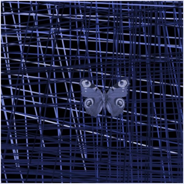 Blue black out of lines - immagine 2