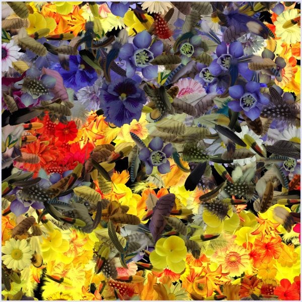 Champ de fleur - immagine 2