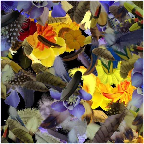 Champ de fleur - immagine 3
