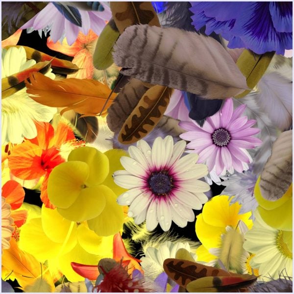 Champ de fleur - immagine 4