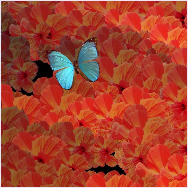Demain il fera beau - Image 3