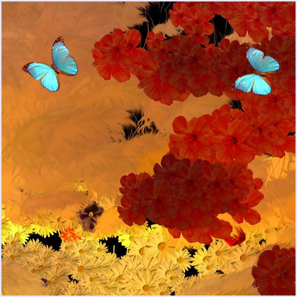 Le commencement - Image 2