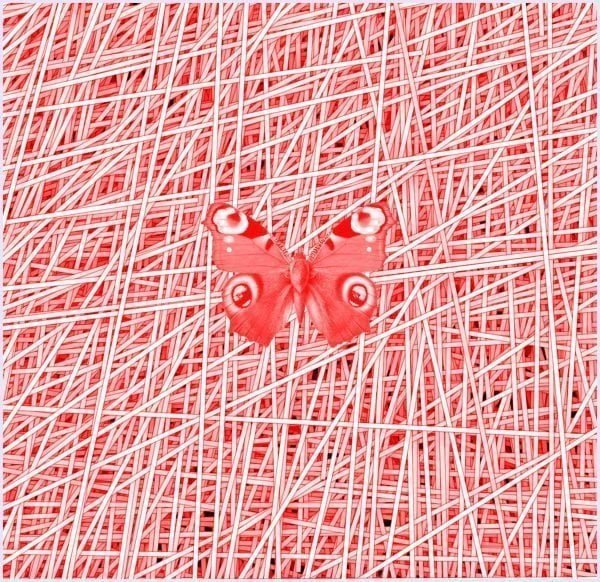 Planet out of lines - immagine 2