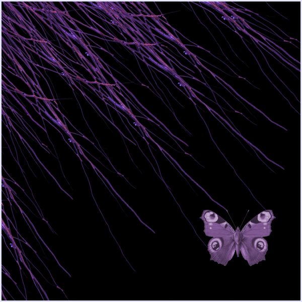 Supernavae - immagine 2