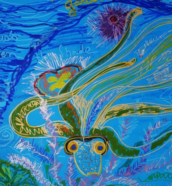 OCTOPUS 2 - immagine 2