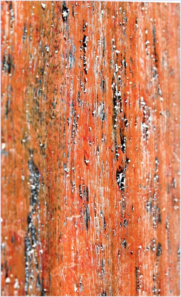 Orange world - Image 2