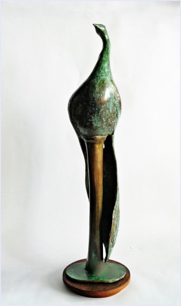 Peacock - Image 3