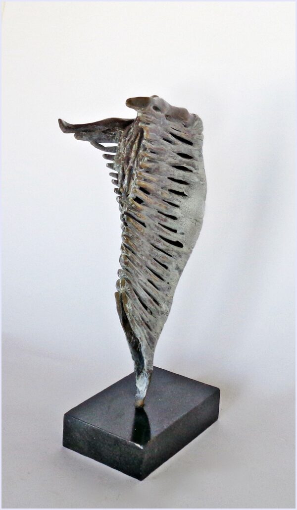 Dance - immagine 2