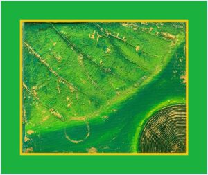 Navaratri (Green)
