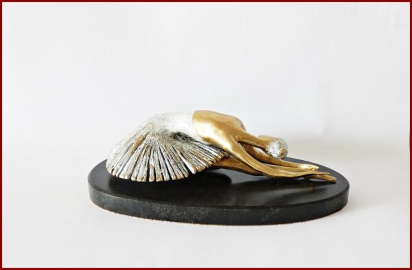 The Dying Swan Ballet - immagine 4