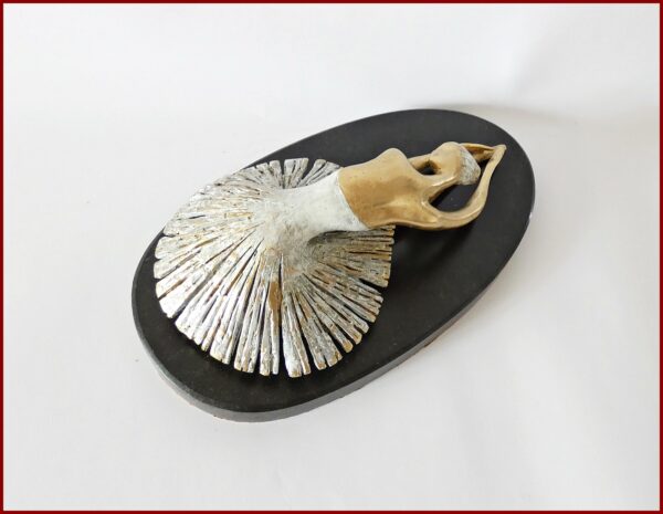 The Dying Swan Ballet - immagine 2