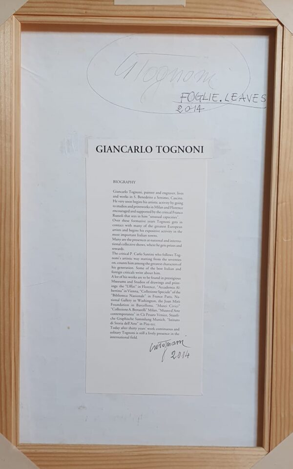 Foglie - Image 4