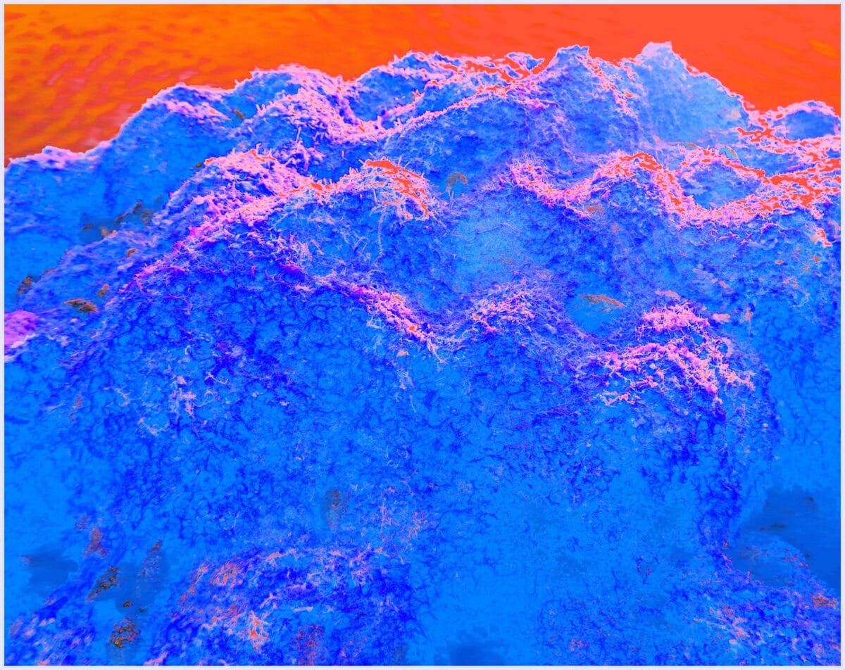 Sea landscape with imaginary snow