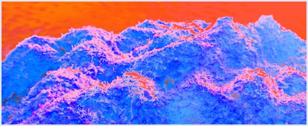 Sea landscape with imaginary snow - immagine 2