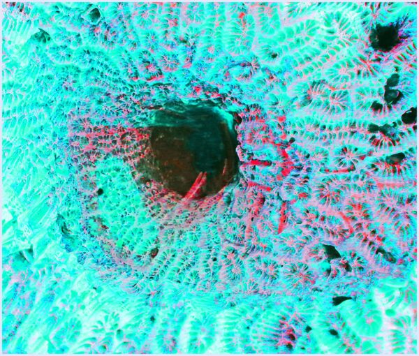 Square hole and lace - immagine 2