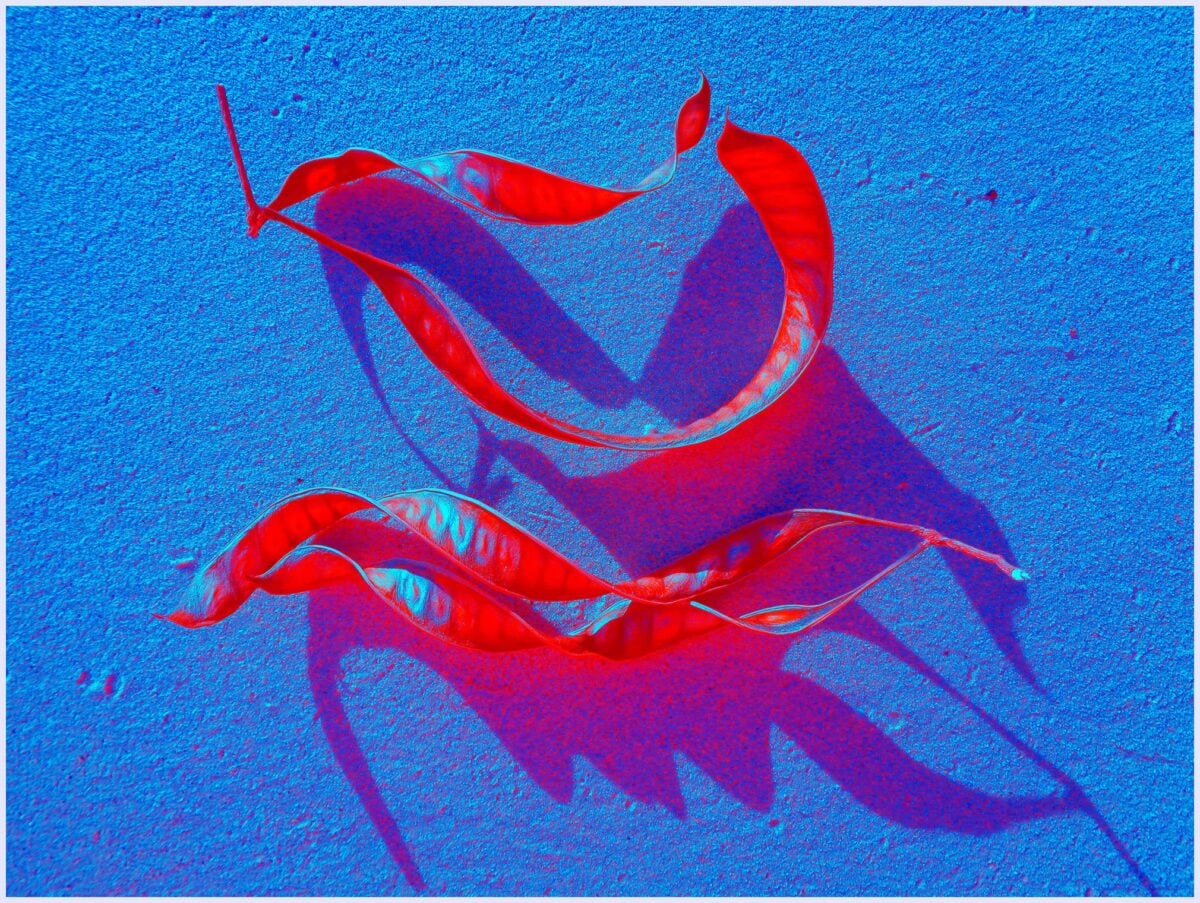 Calligraphy telling stories about the sea