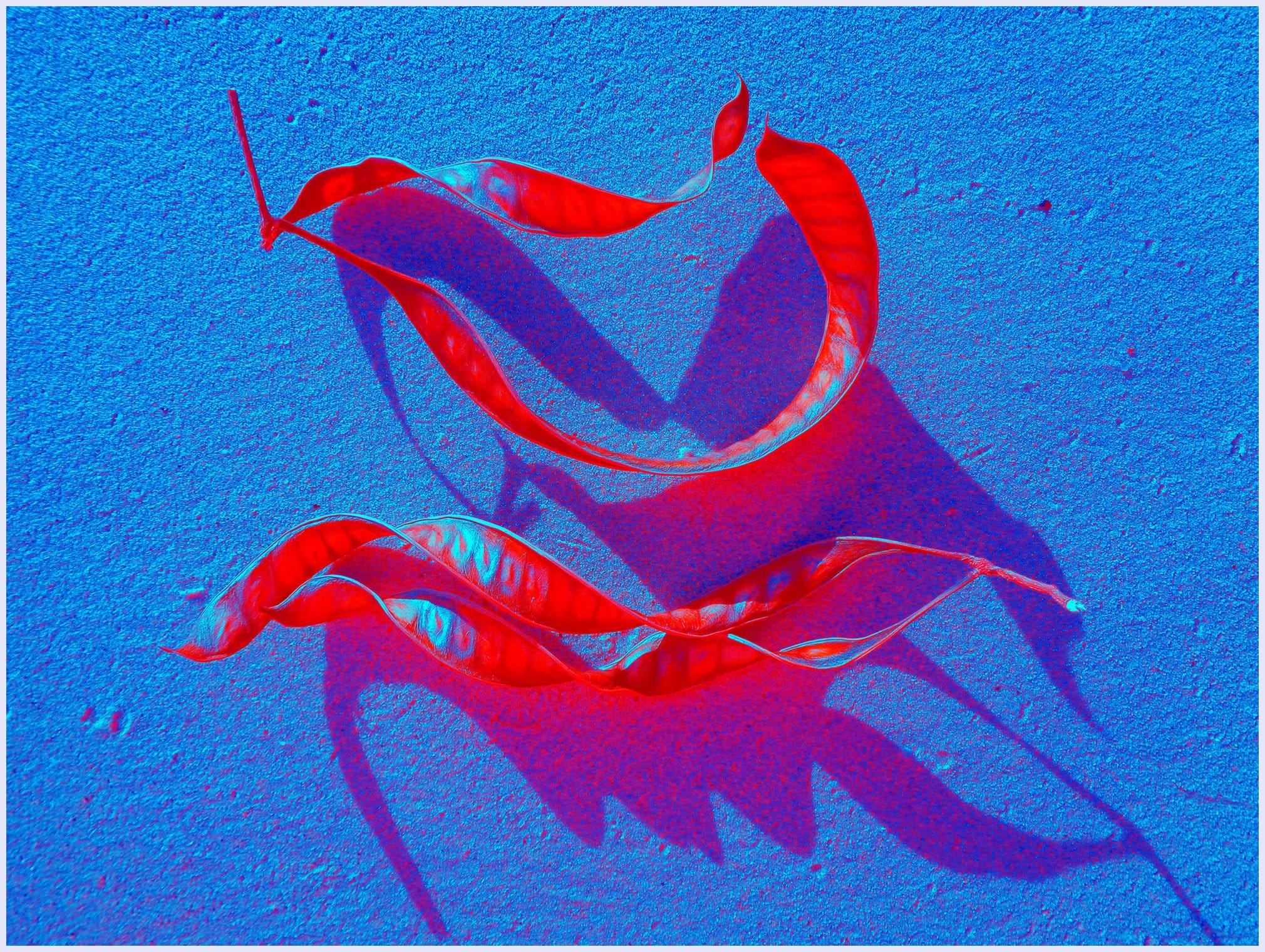 Calligraphy telling stories about the sea